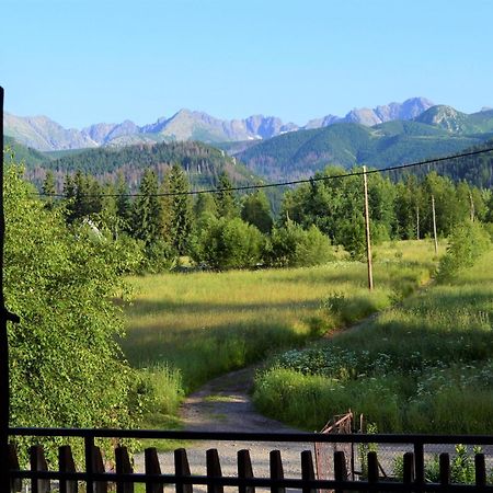 Pensjonat U Doroty, Zakopane - Twoje Miejsce W Gorach Buitenkant foto