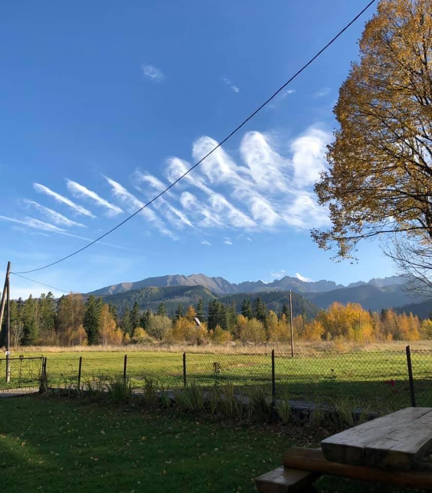 Pensjonat U Doroty, Zakopane - Twoje Miejsce W Gorach Buitenkant foto
