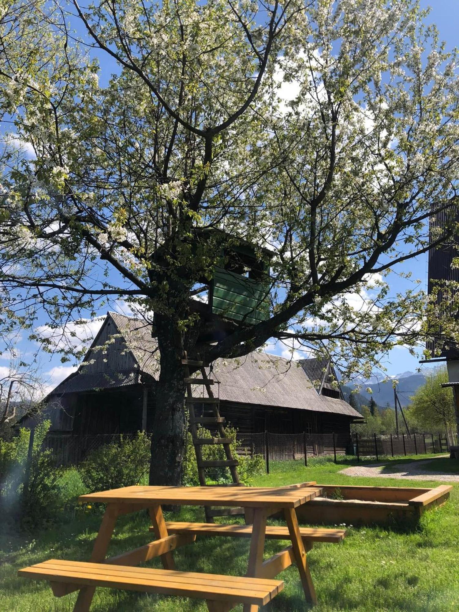Pensjonat U Doroty, Zakopane - Twoje Miejsce W Gorach Buitenkant foto